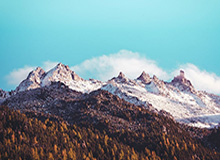 开云下载-国际乒联驳回卡塔尔乒协上诉:佩特拉·索林当选主席结果有效